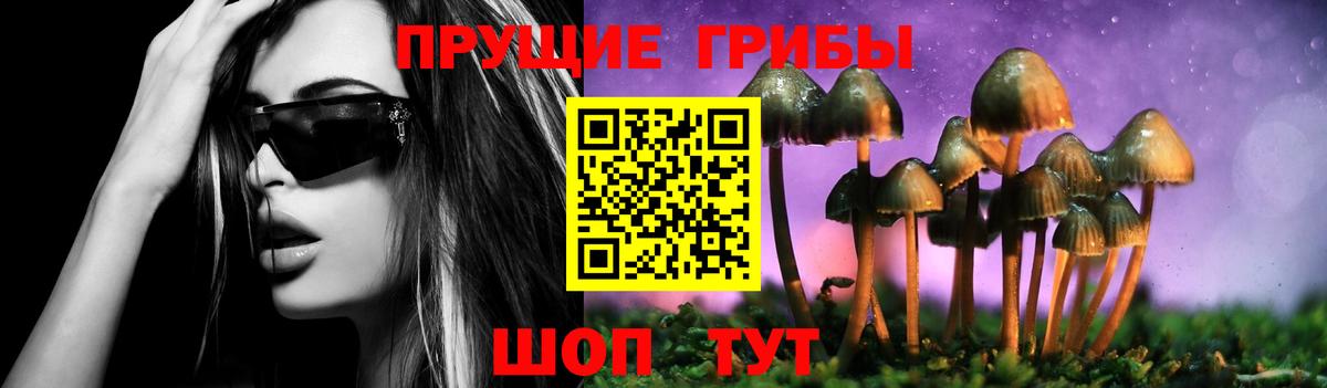 Горно-Алтайск  Галлюциногенные грибы Cubensis  купить наркотик  Вход с VPN 